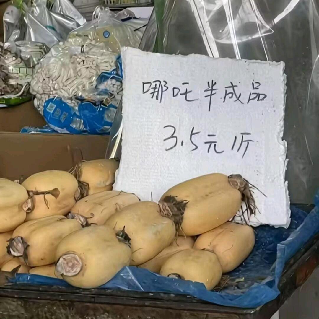 野狗，吃不饱