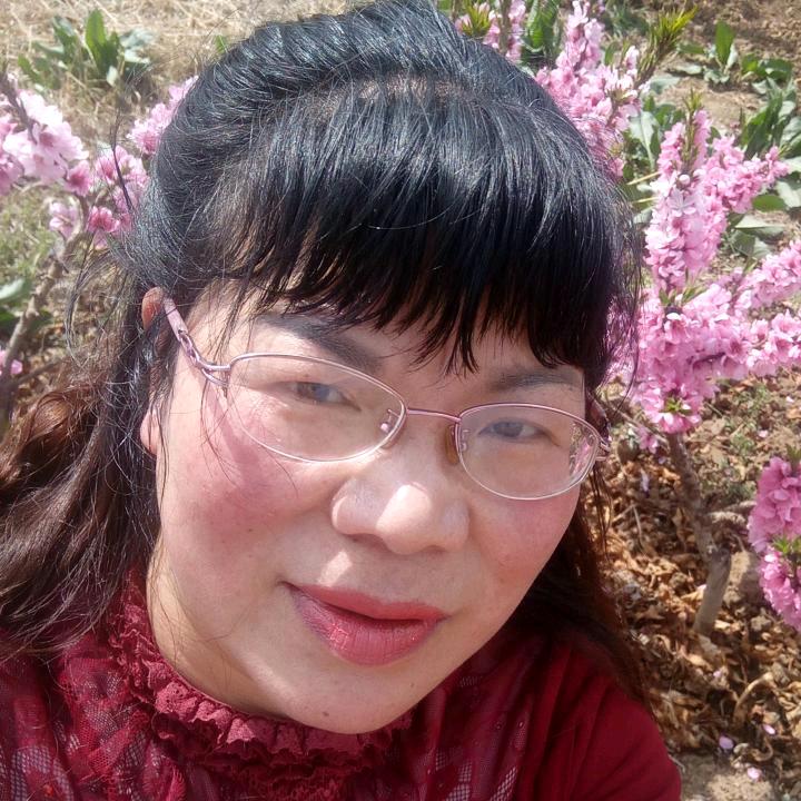 傲立雪中的红梅