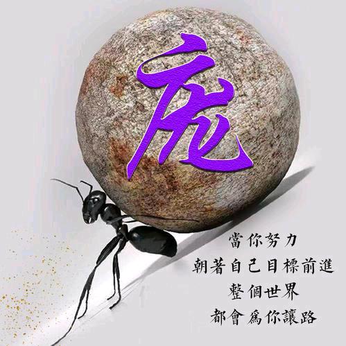 🌹侽庞銪💰