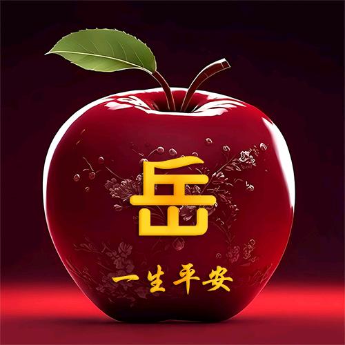 深圳家政河南姐