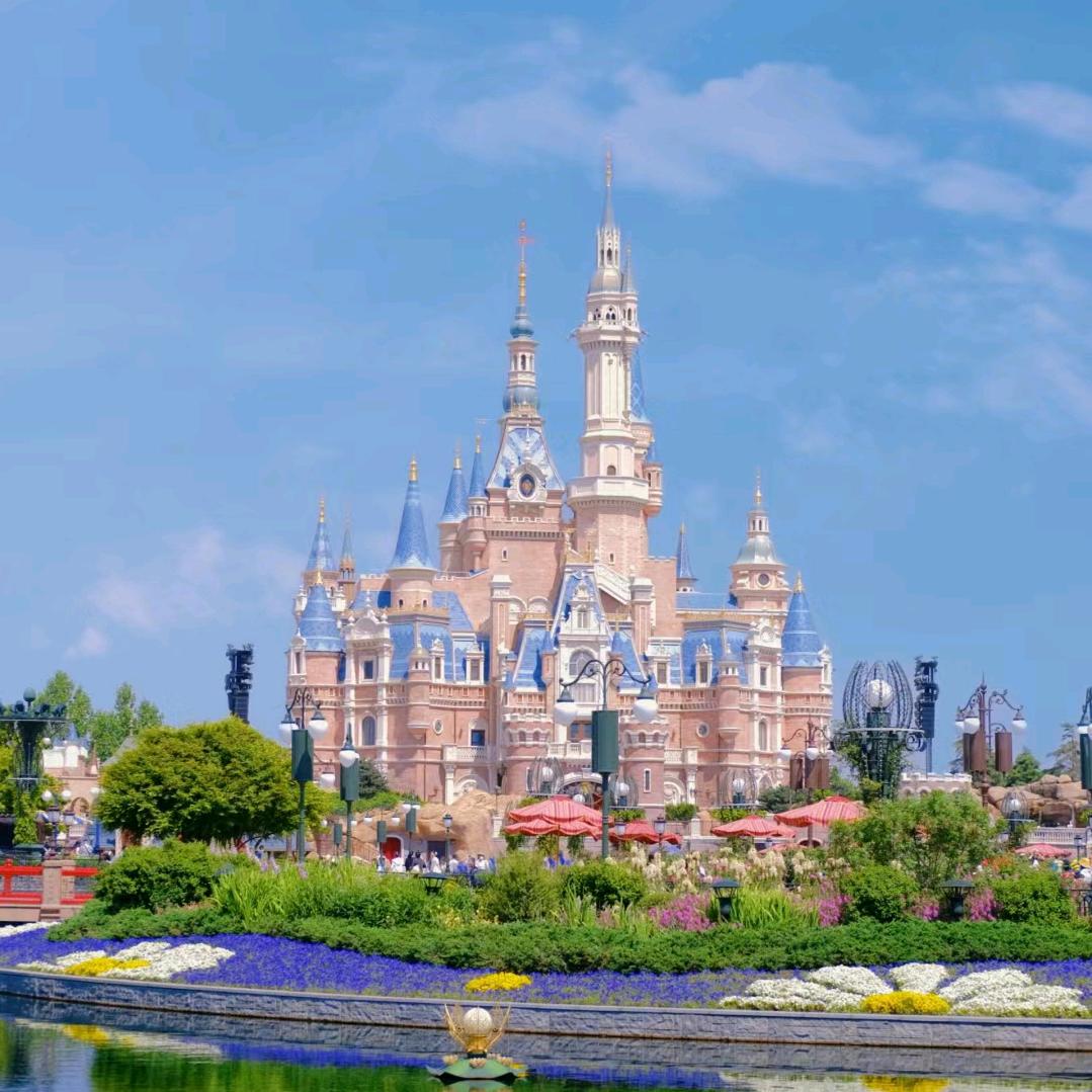 上迪带玩小太阳