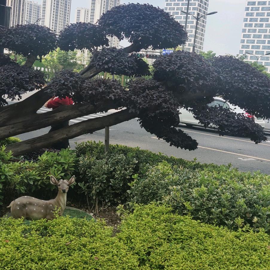 心想事成