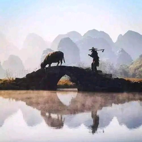 桥流水不流