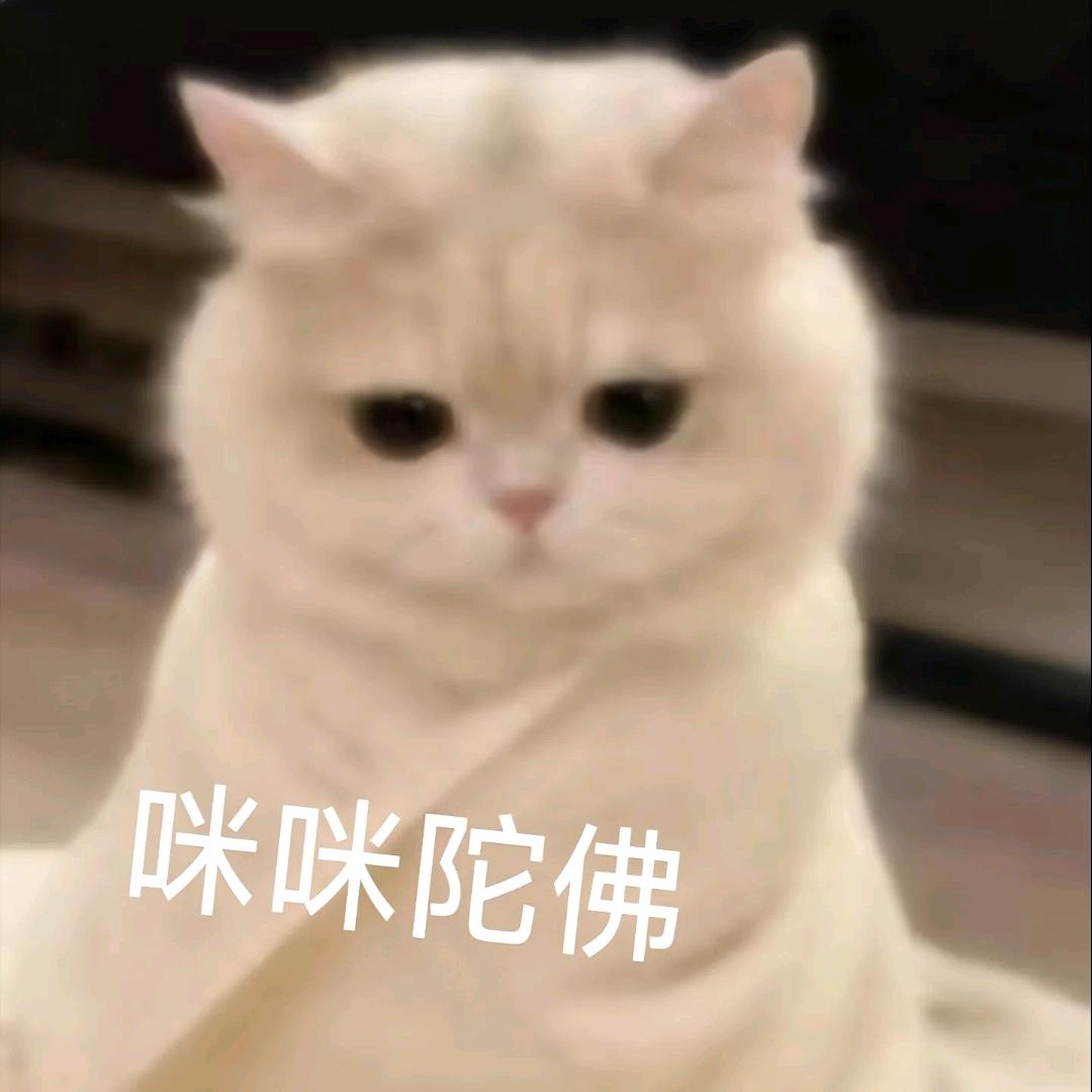 又有悠游呦～