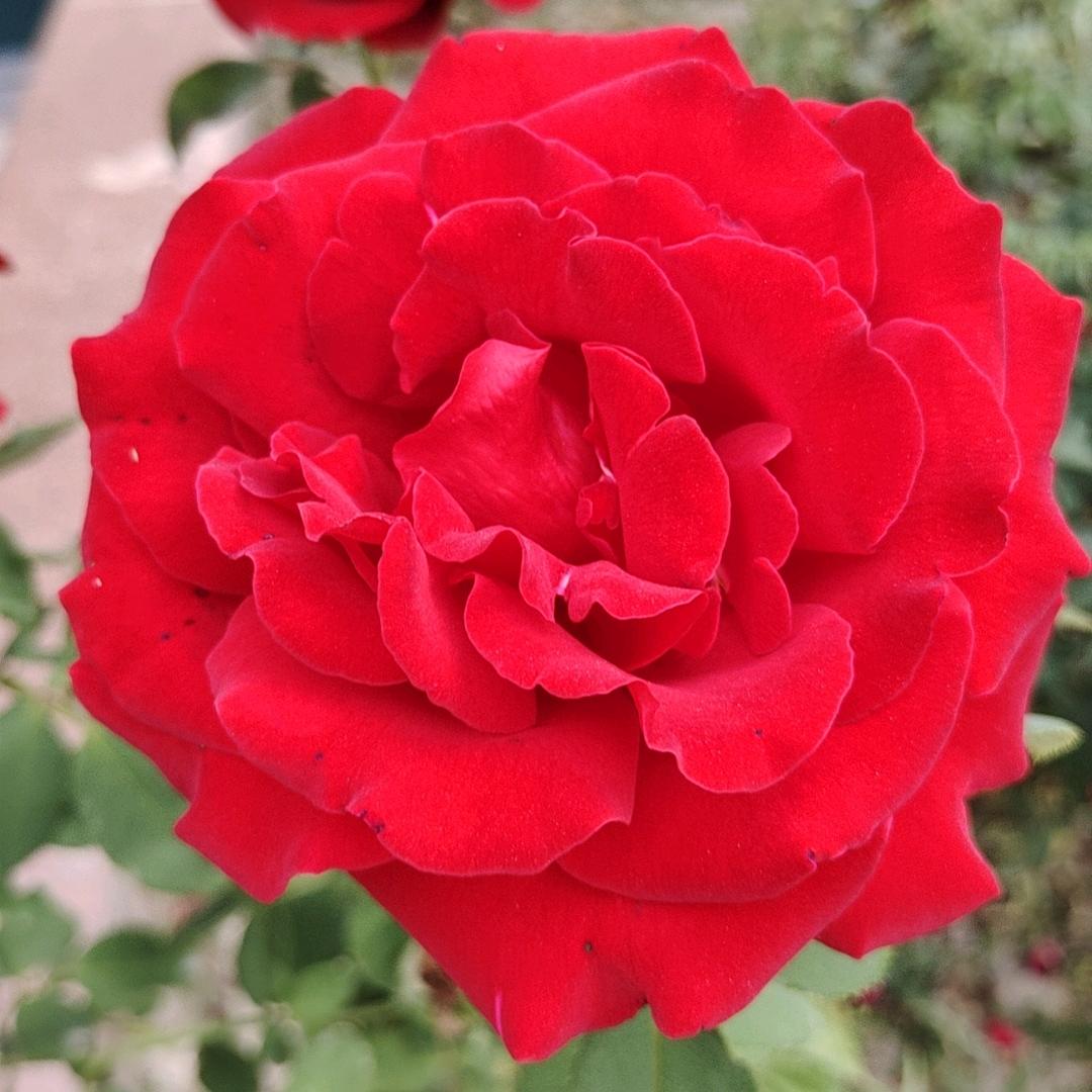 向幸福出发🇨🇳