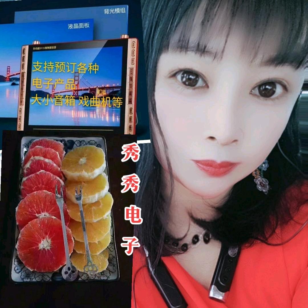 情歌秀秀 电子