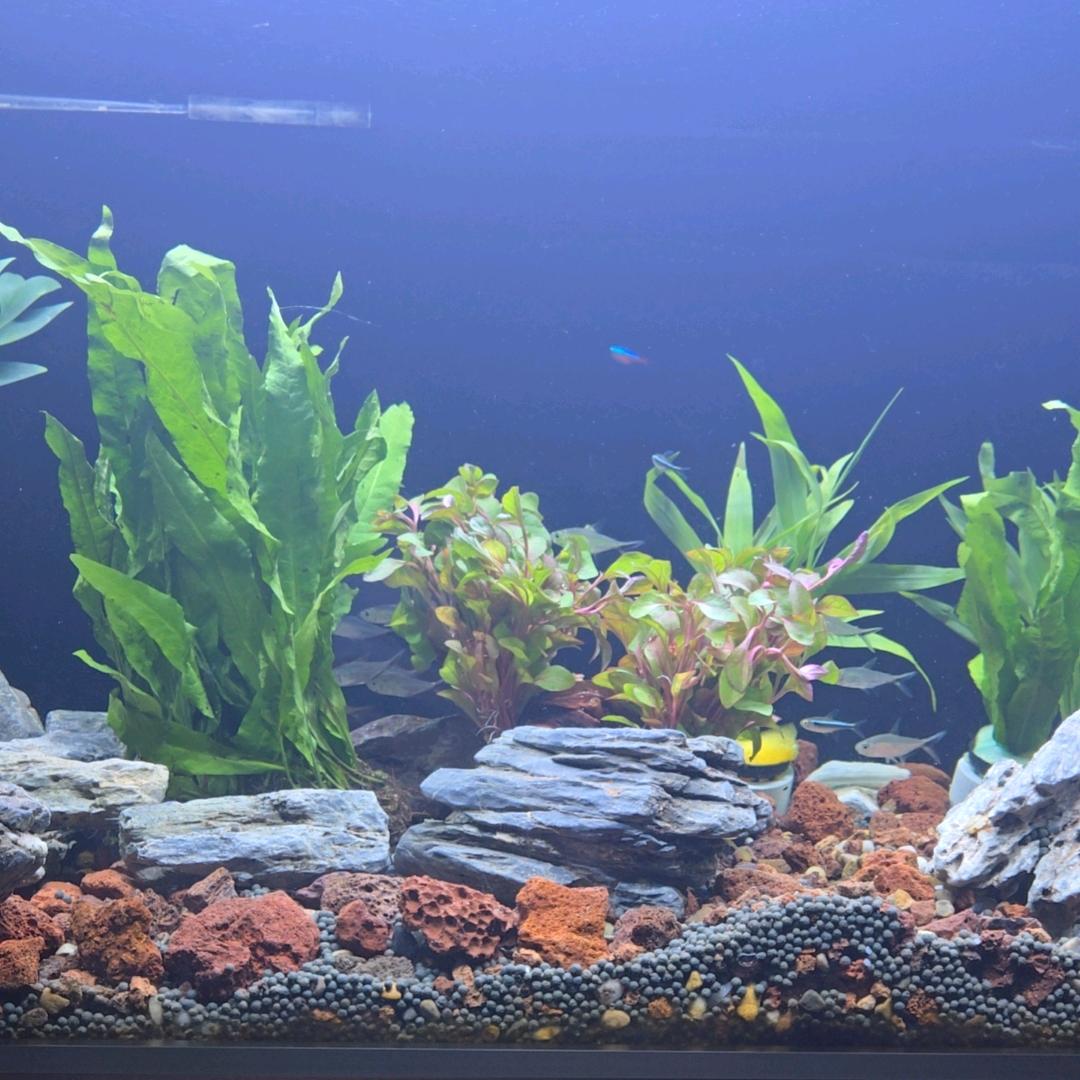 人间清醒80后