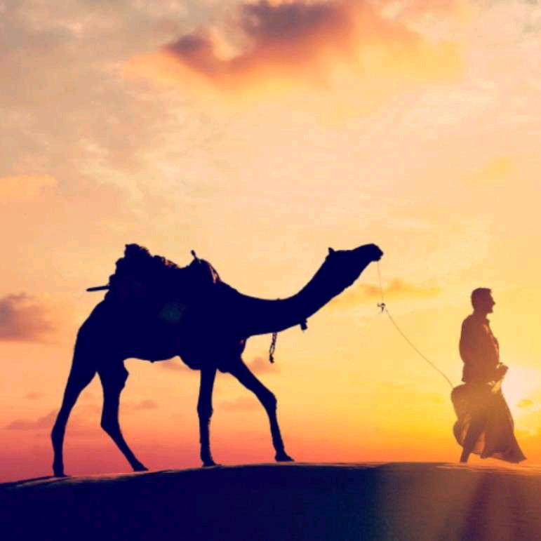 ༺ 阔步 ☞ 钱行 ㊣