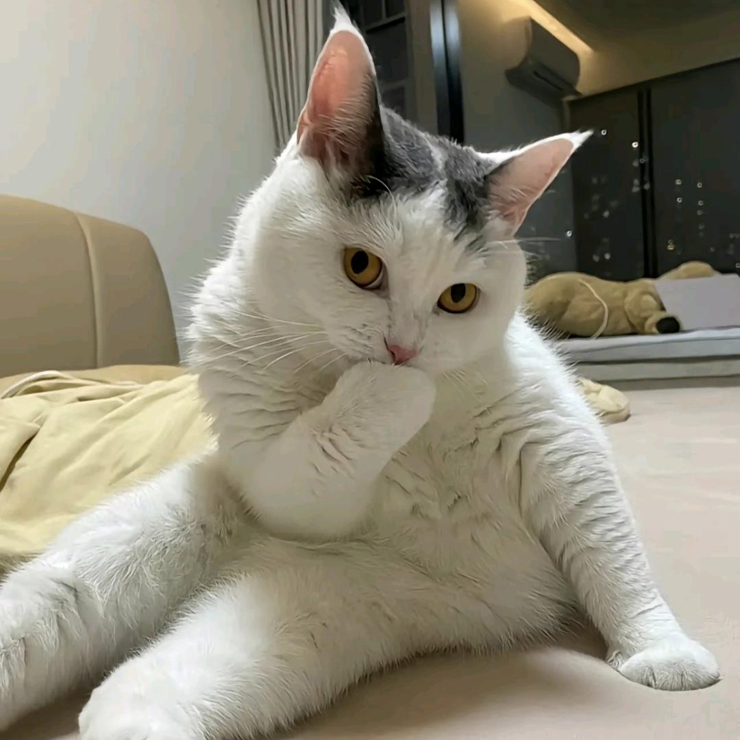 生活还算理想