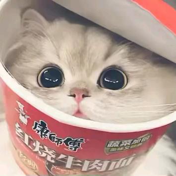 啵啵小琛🐷⁰⁸²⁷