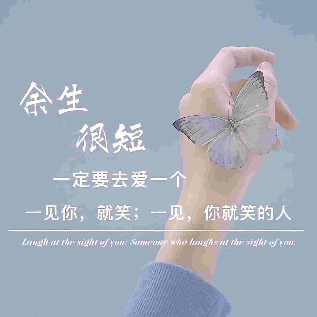 十一
