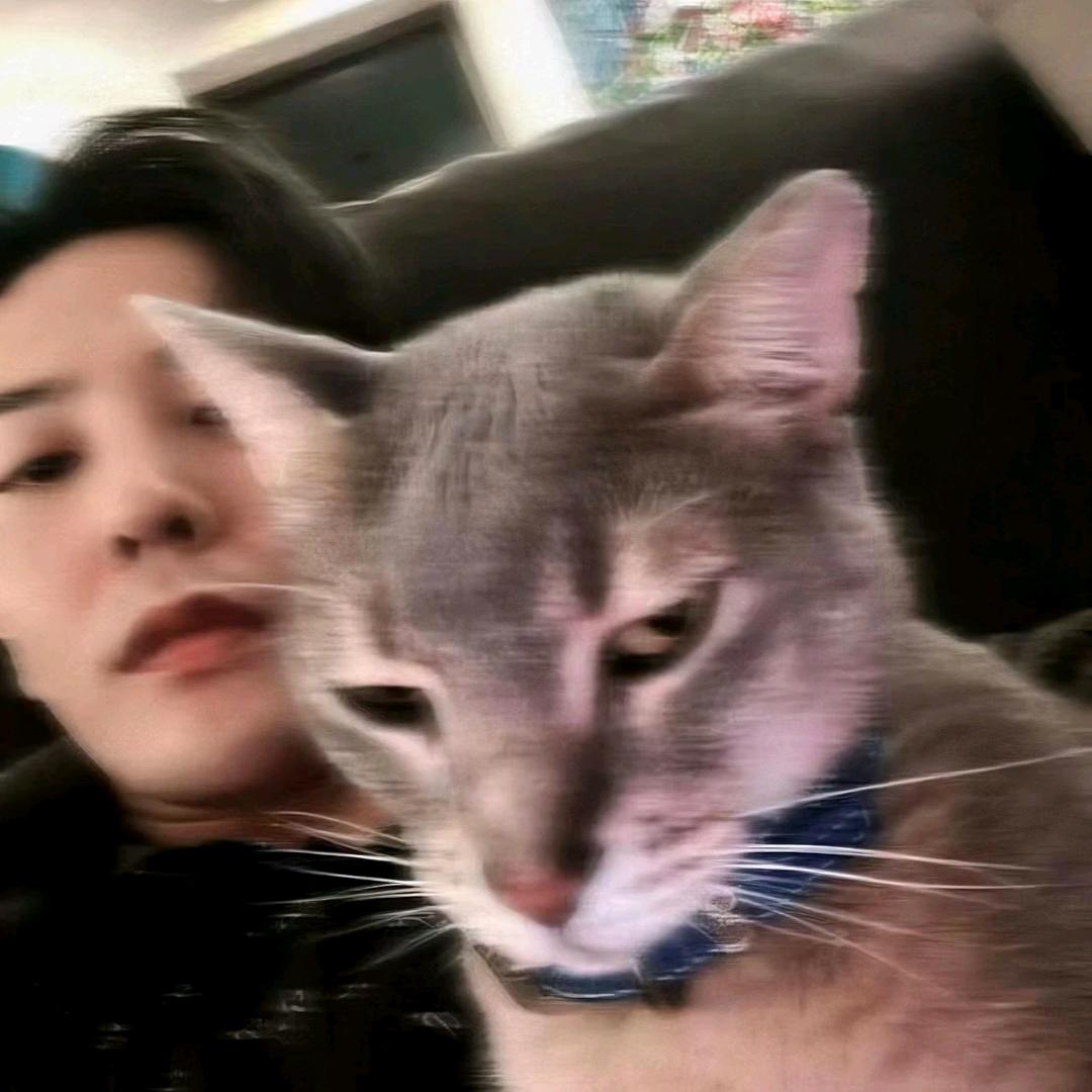 玩偶（三角洲行动）