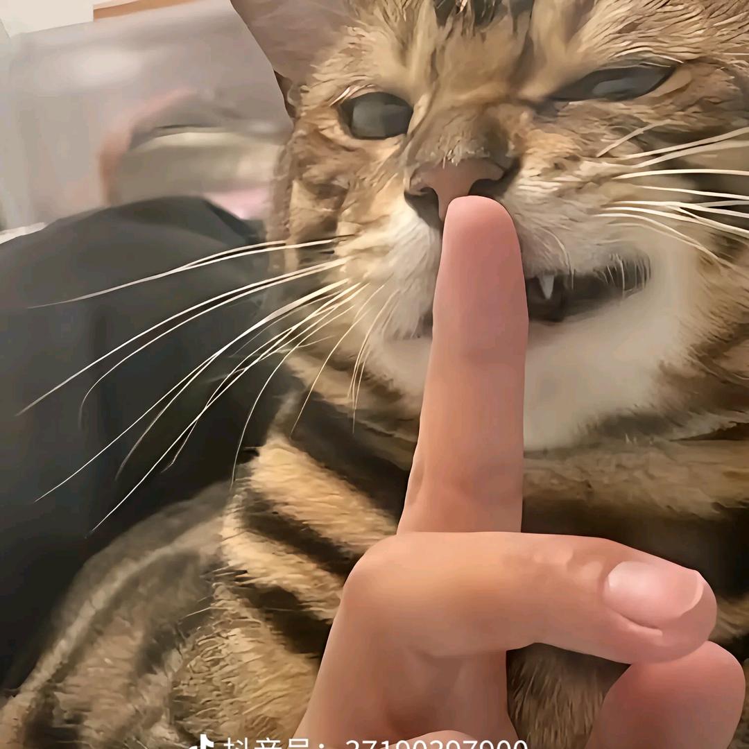 屎到淋头还想搅便