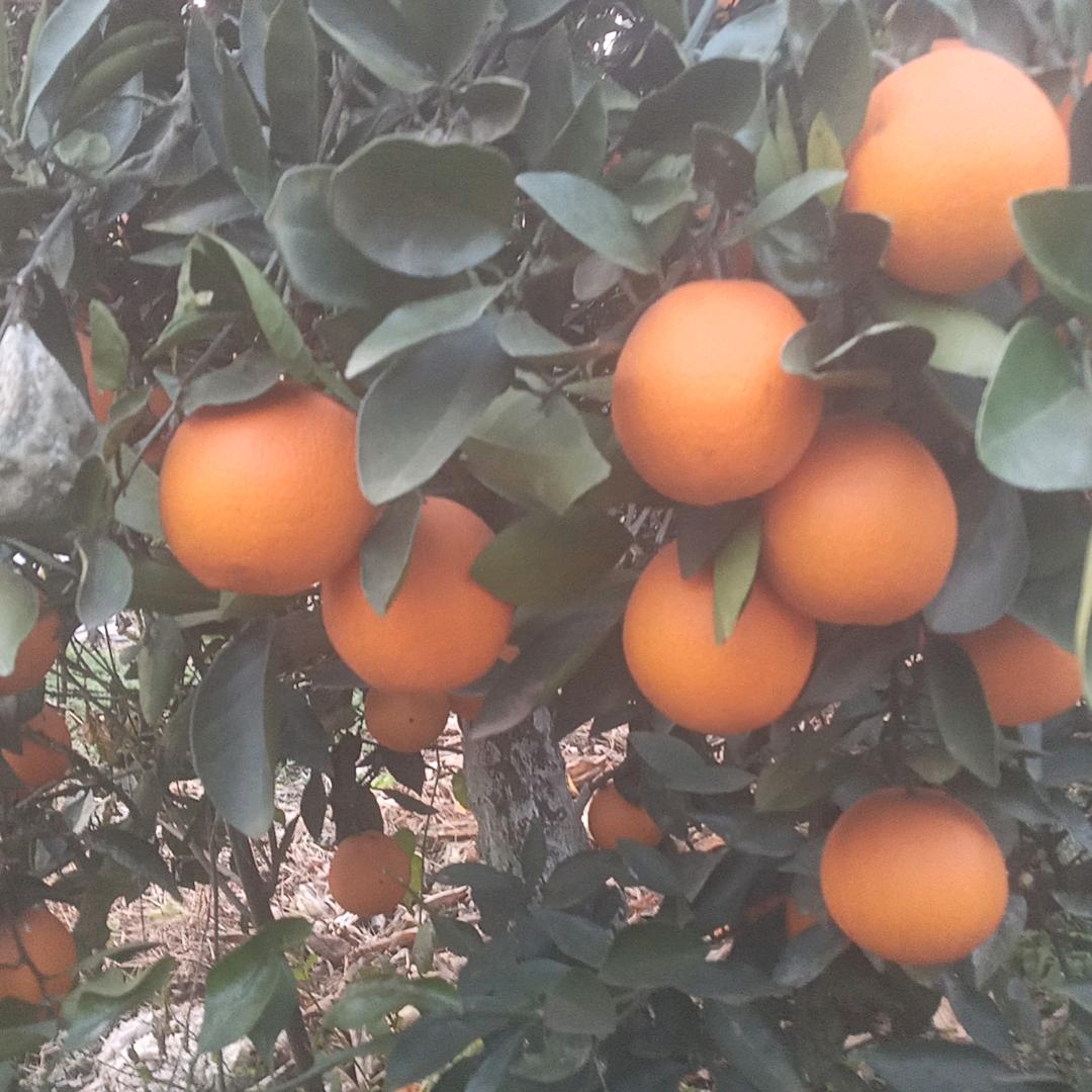 爱了就大胆说出来