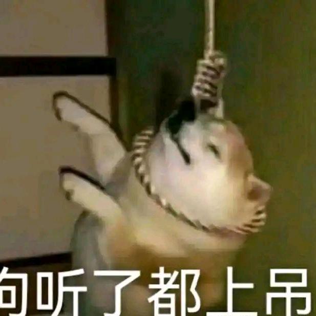 彼此交换饭盆