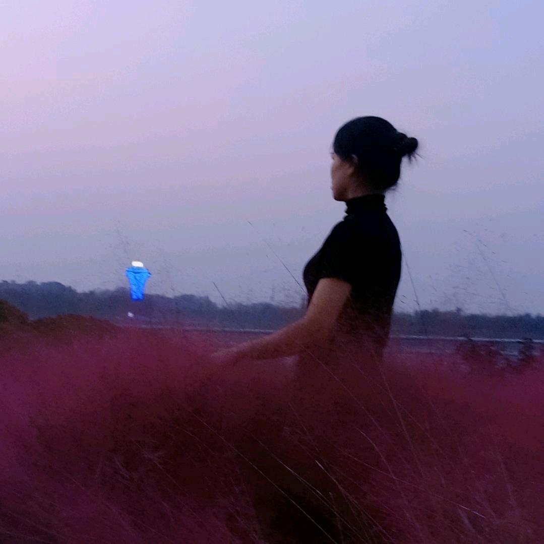 真姐免费招工