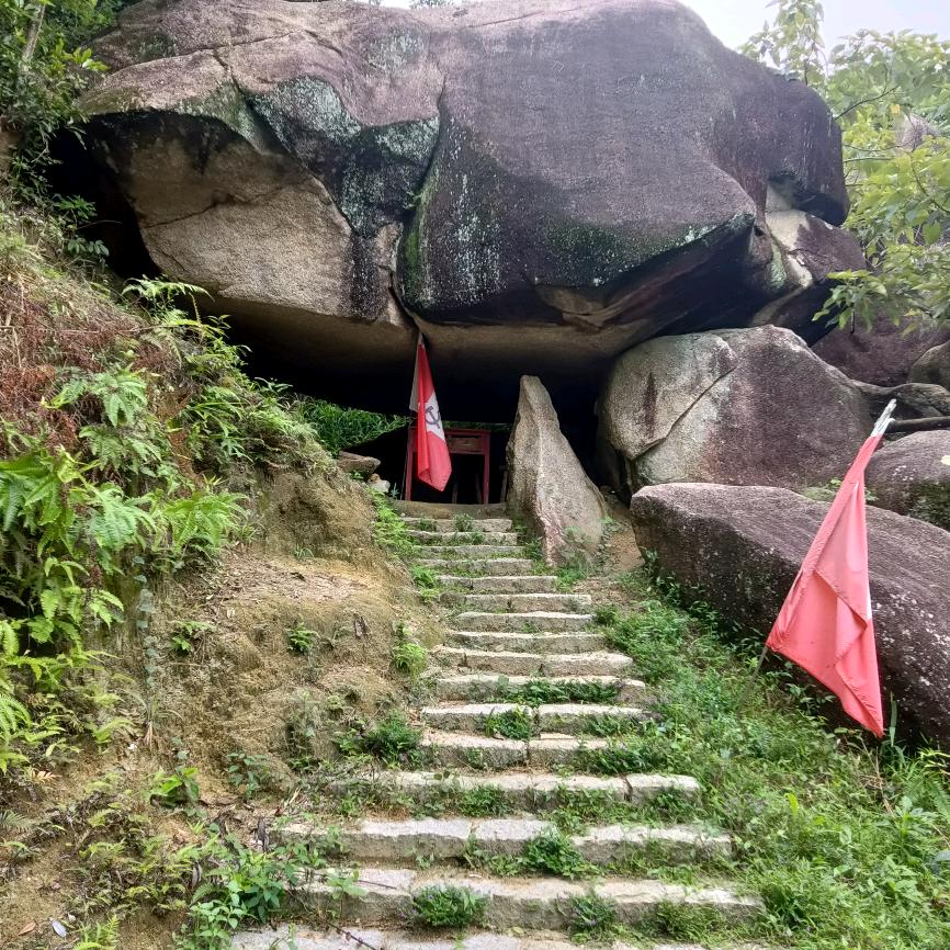 🐷下一站🦐我来了🐍