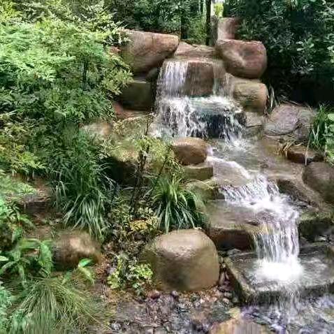 🌈中国龍🇨🇳🌈.