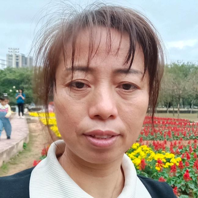 刘梅梅