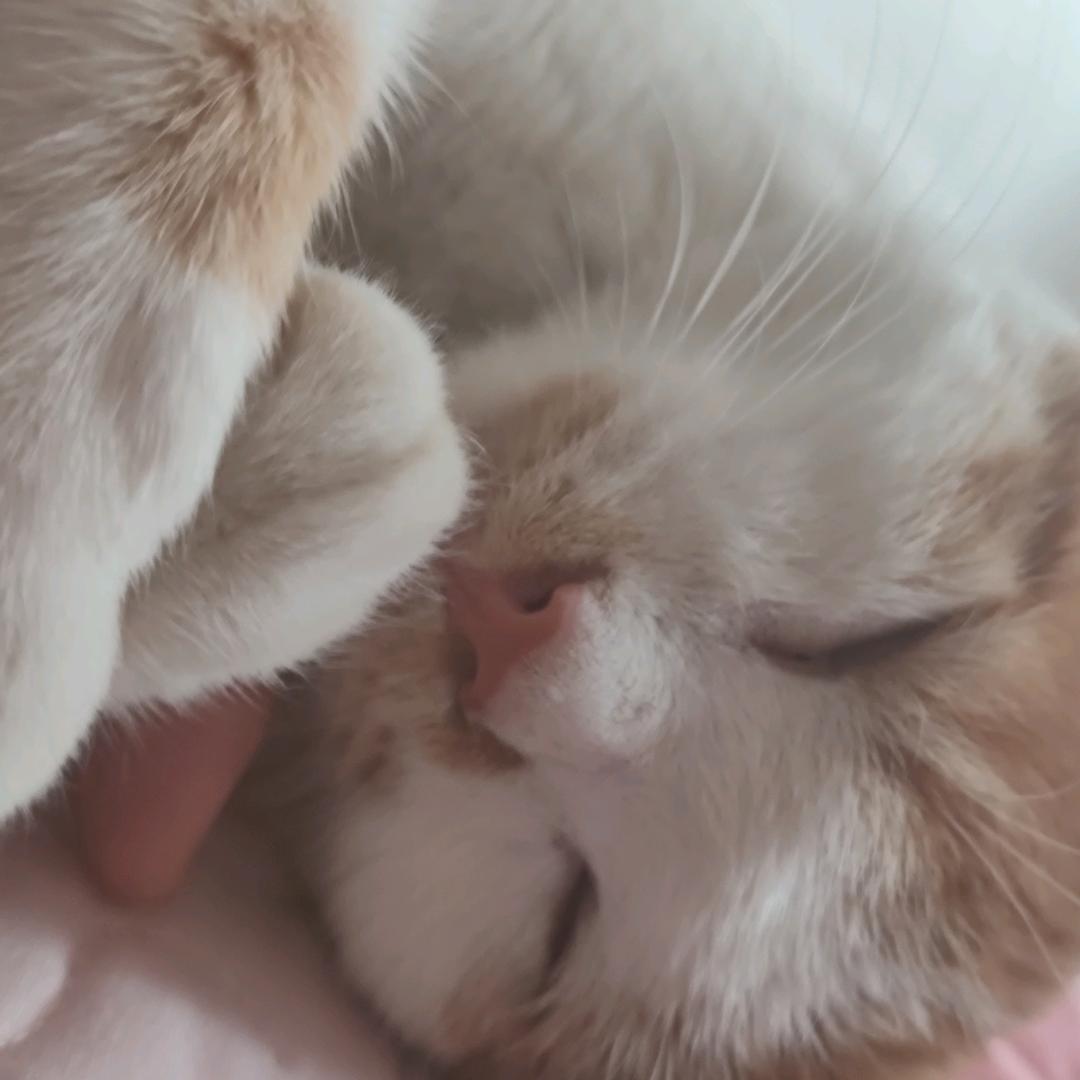 我是林大圣