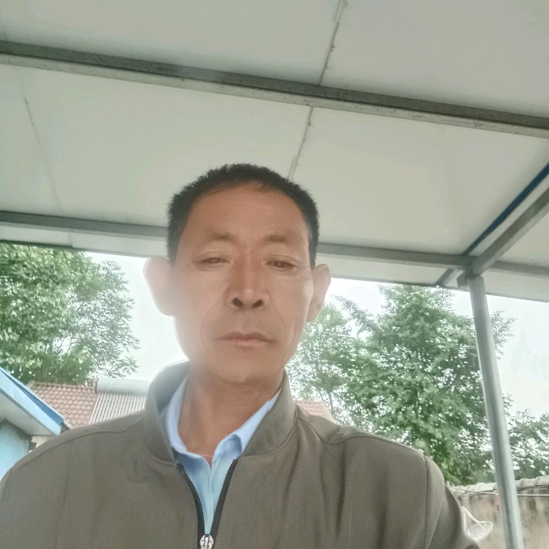 问世间情为何物