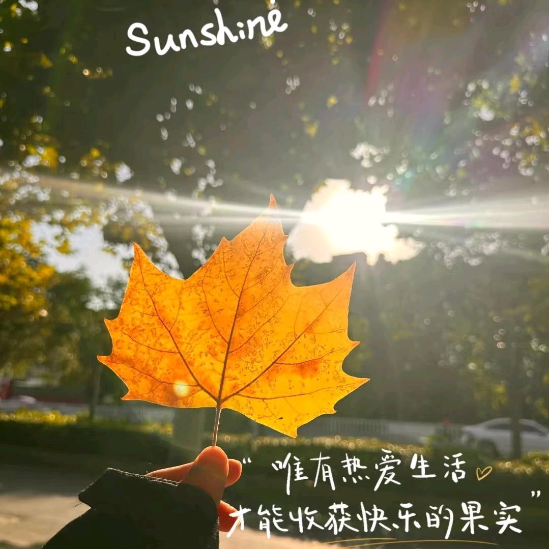 挑西瓜的温小胖