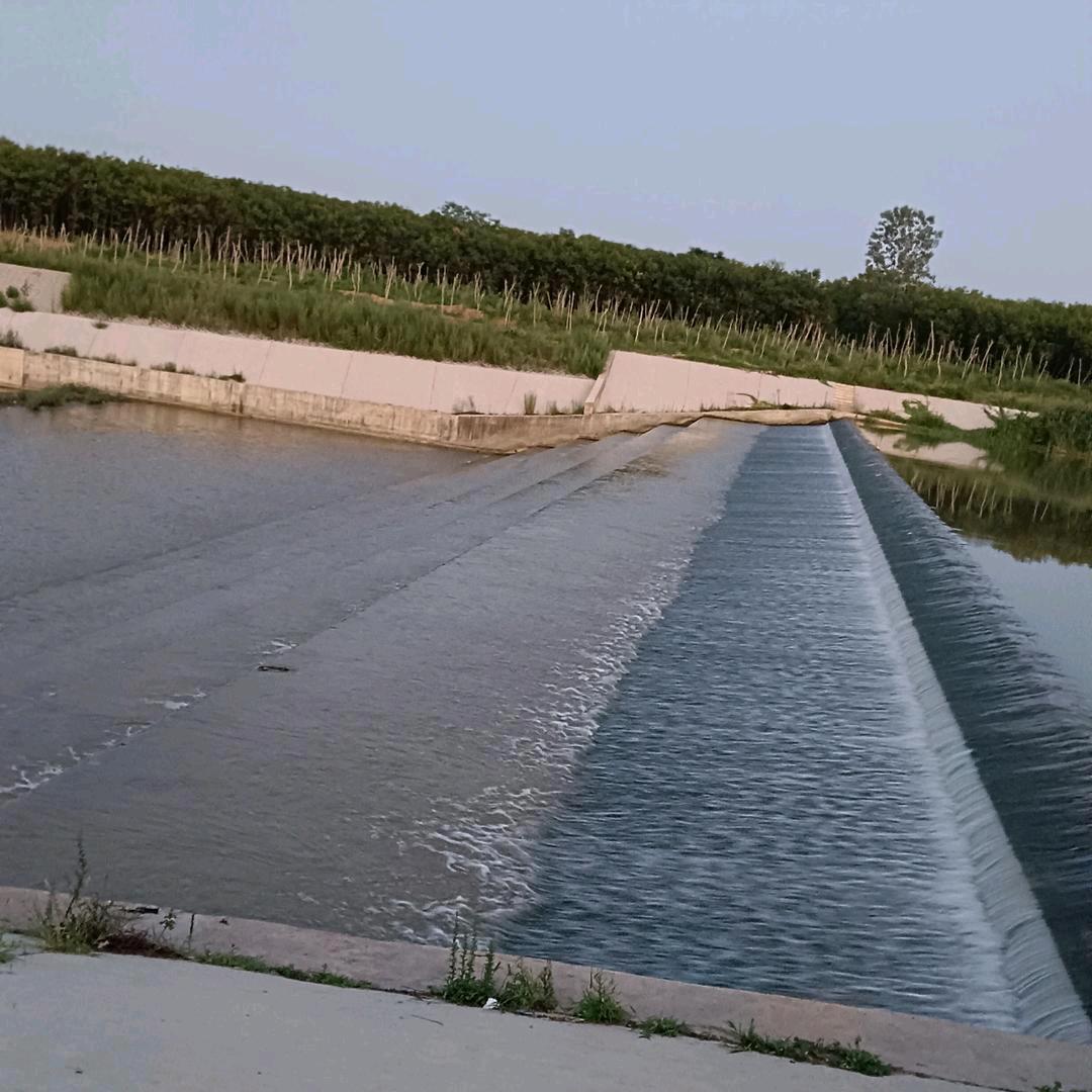 曹燕