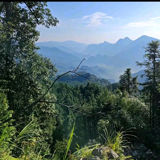 🌿一笑而过🌿