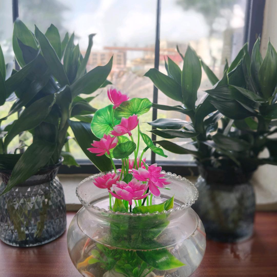🦋💞᭄᪲ᩚ殴阳💞💞᪲꧂