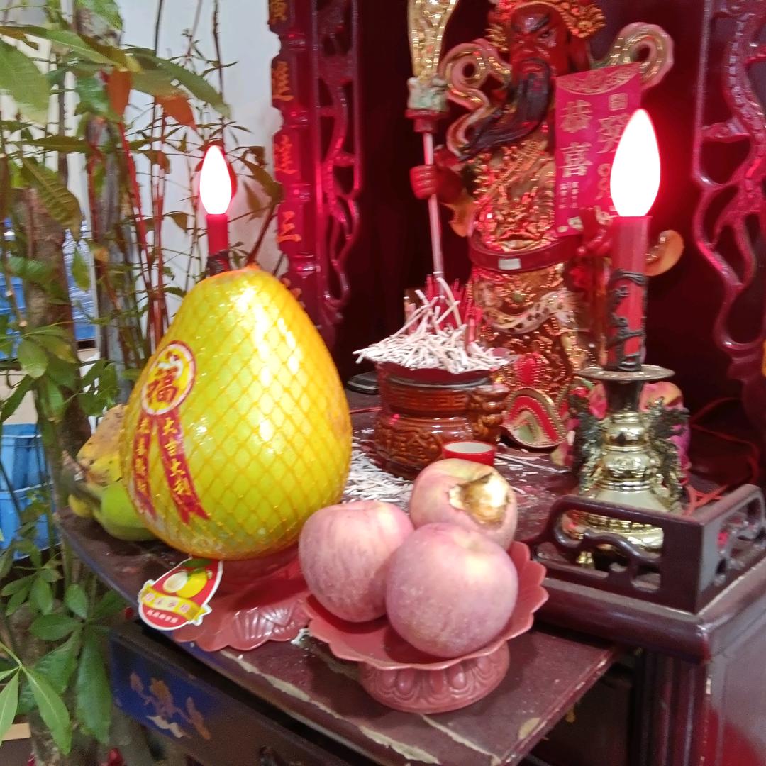 网络小黑主