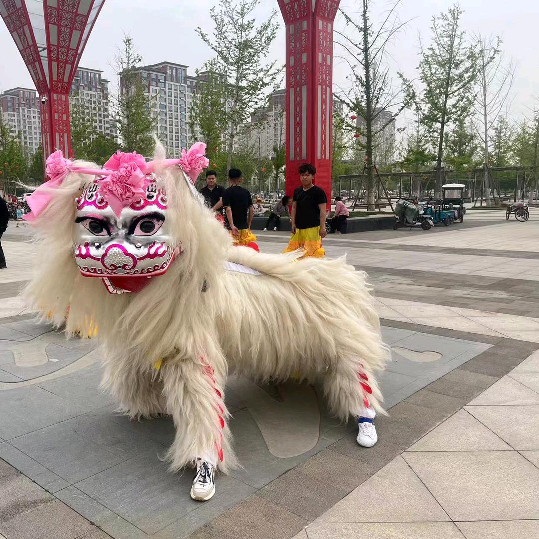 梁山曹庄张家班舞狮团(小白狮)