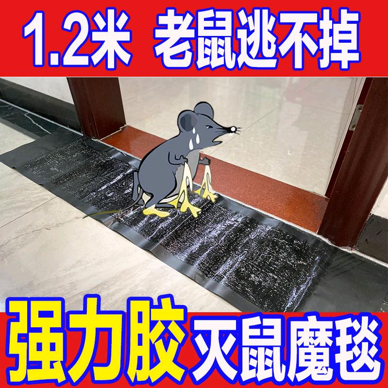 阳光粘鼠板工厂店