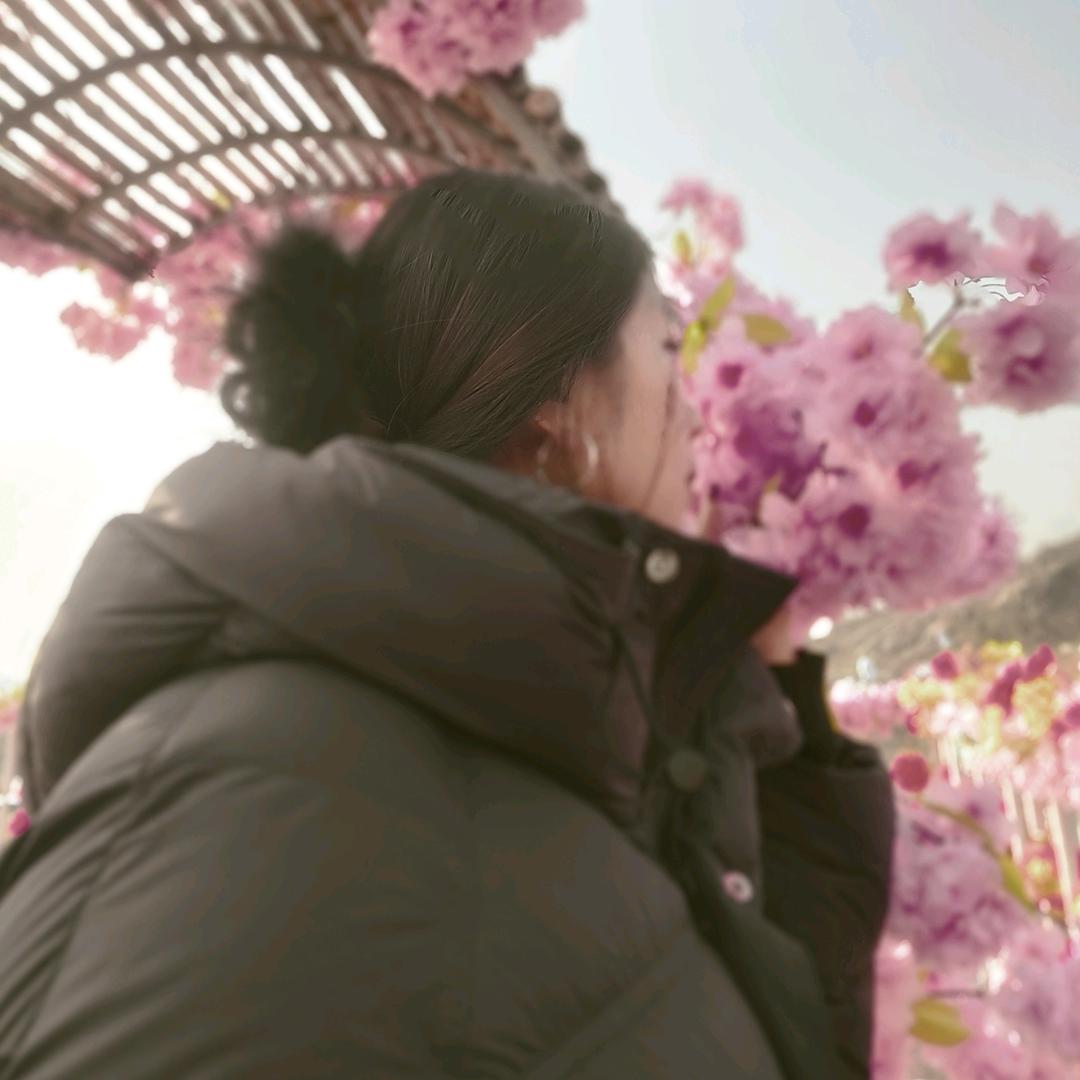 山楂树下我和李