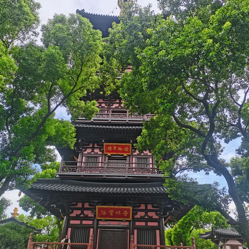 丹军好物分享（洗护用品）