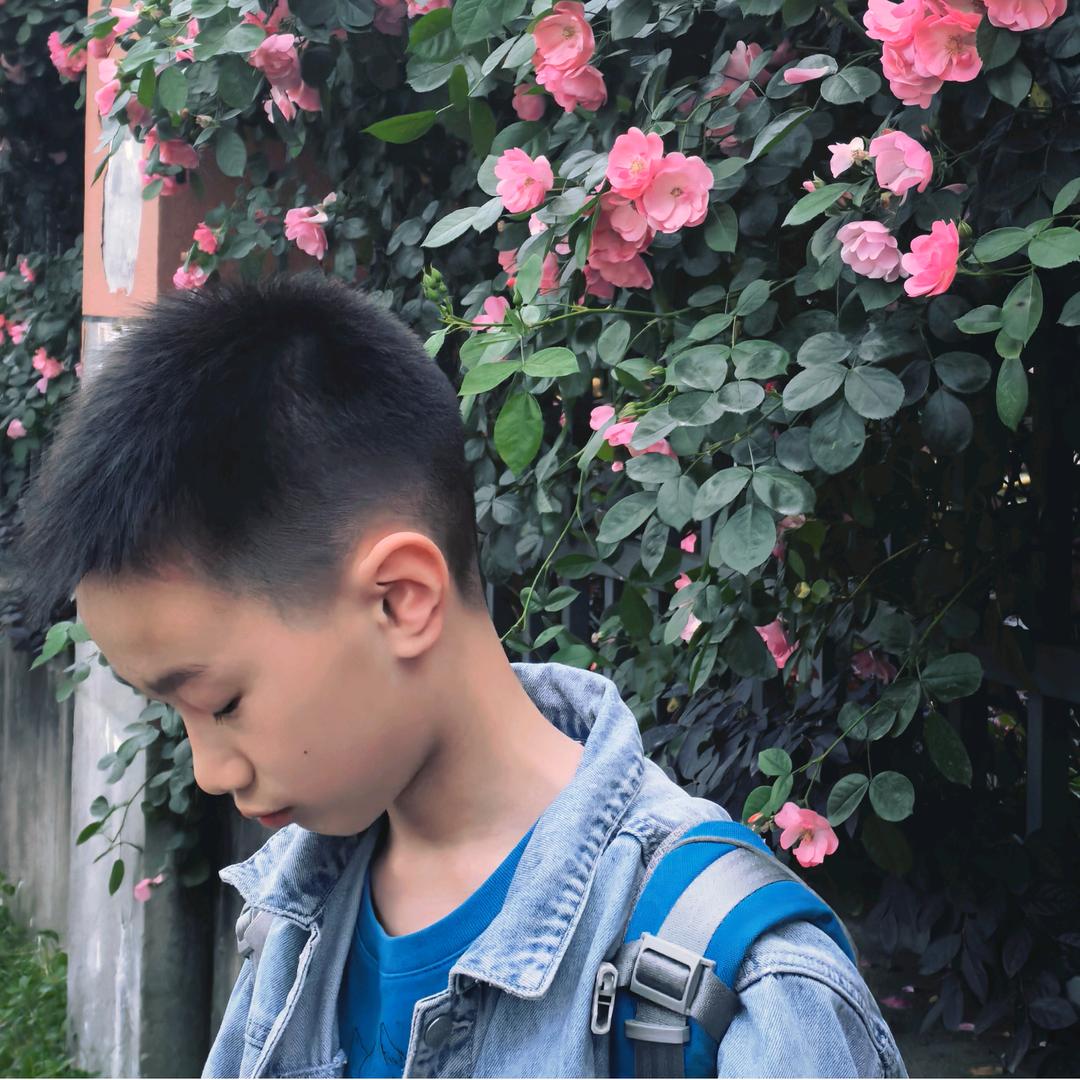 鱼不咸