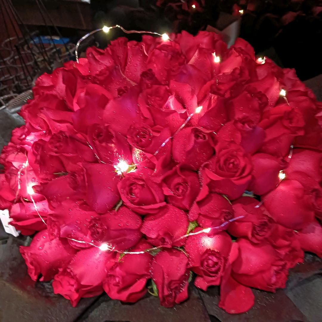 玫瑰花真漂亮