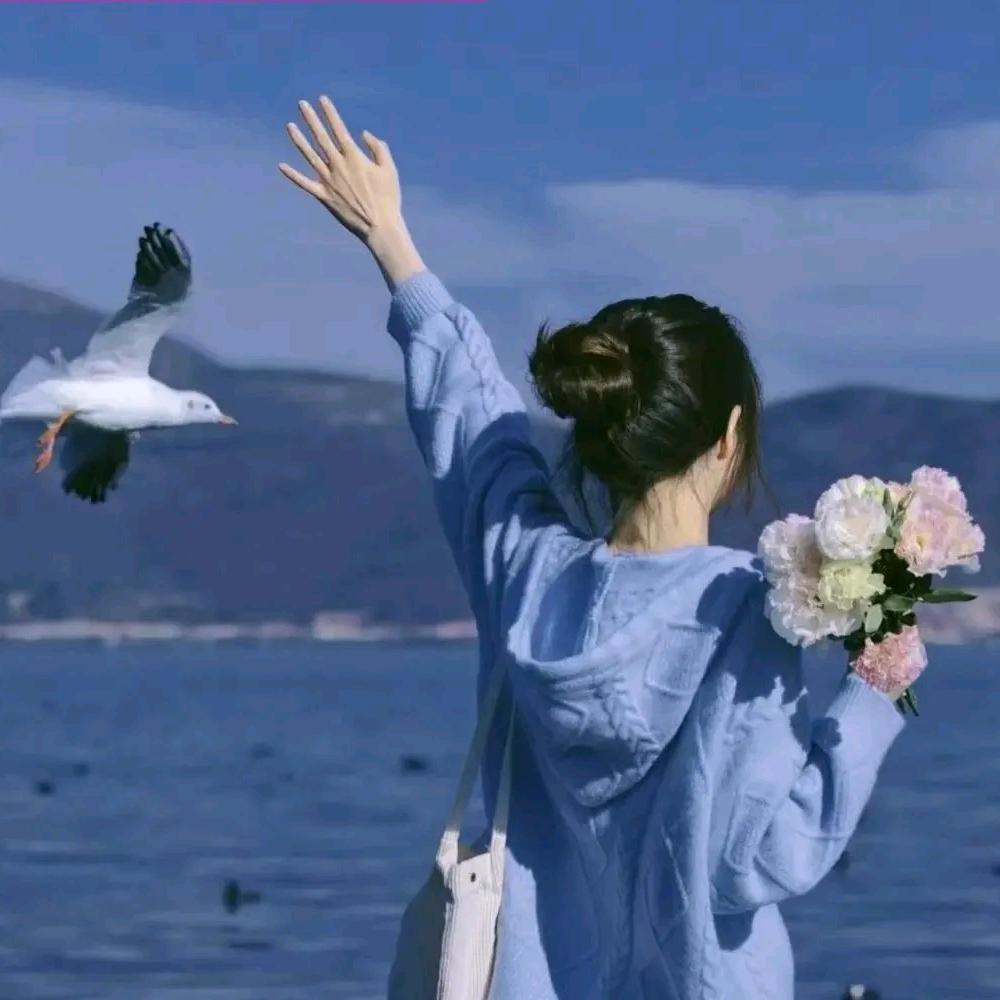 浅浅的时光