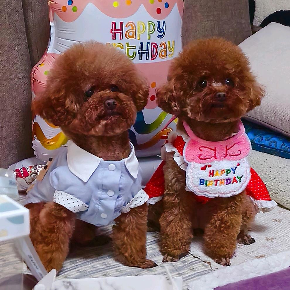 金豆妮儿麻麻