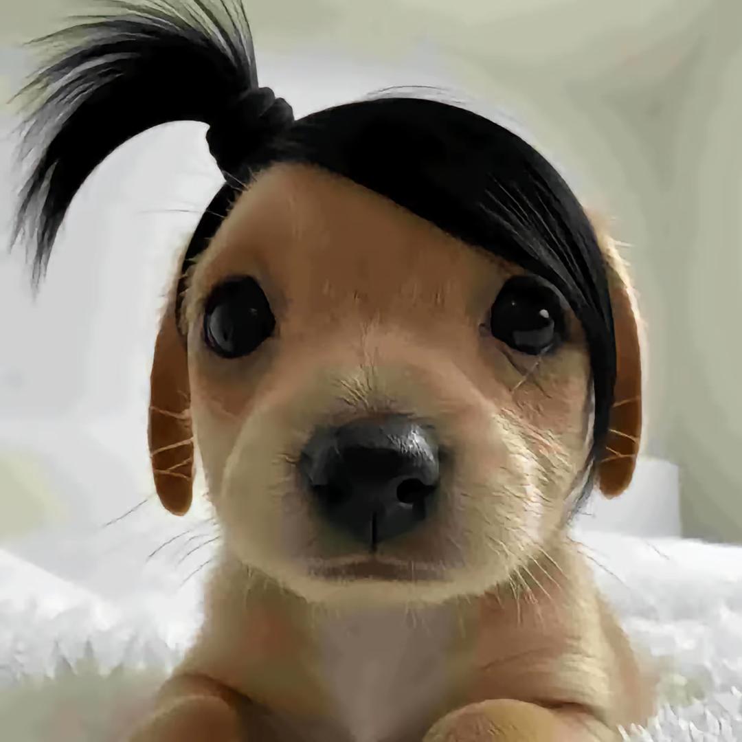 小佑喵
