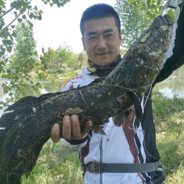 日照🎣路亚扫黑