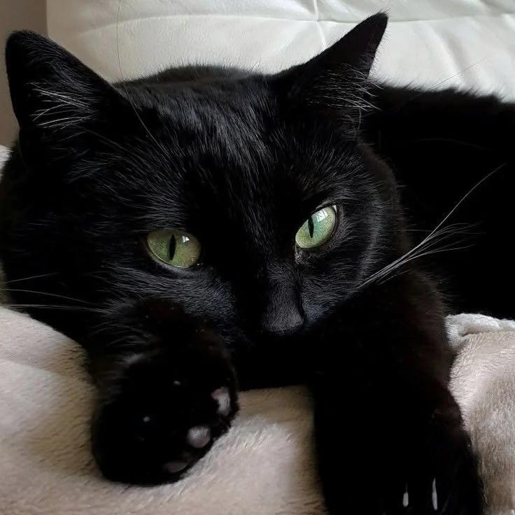 小邢没有坏心思