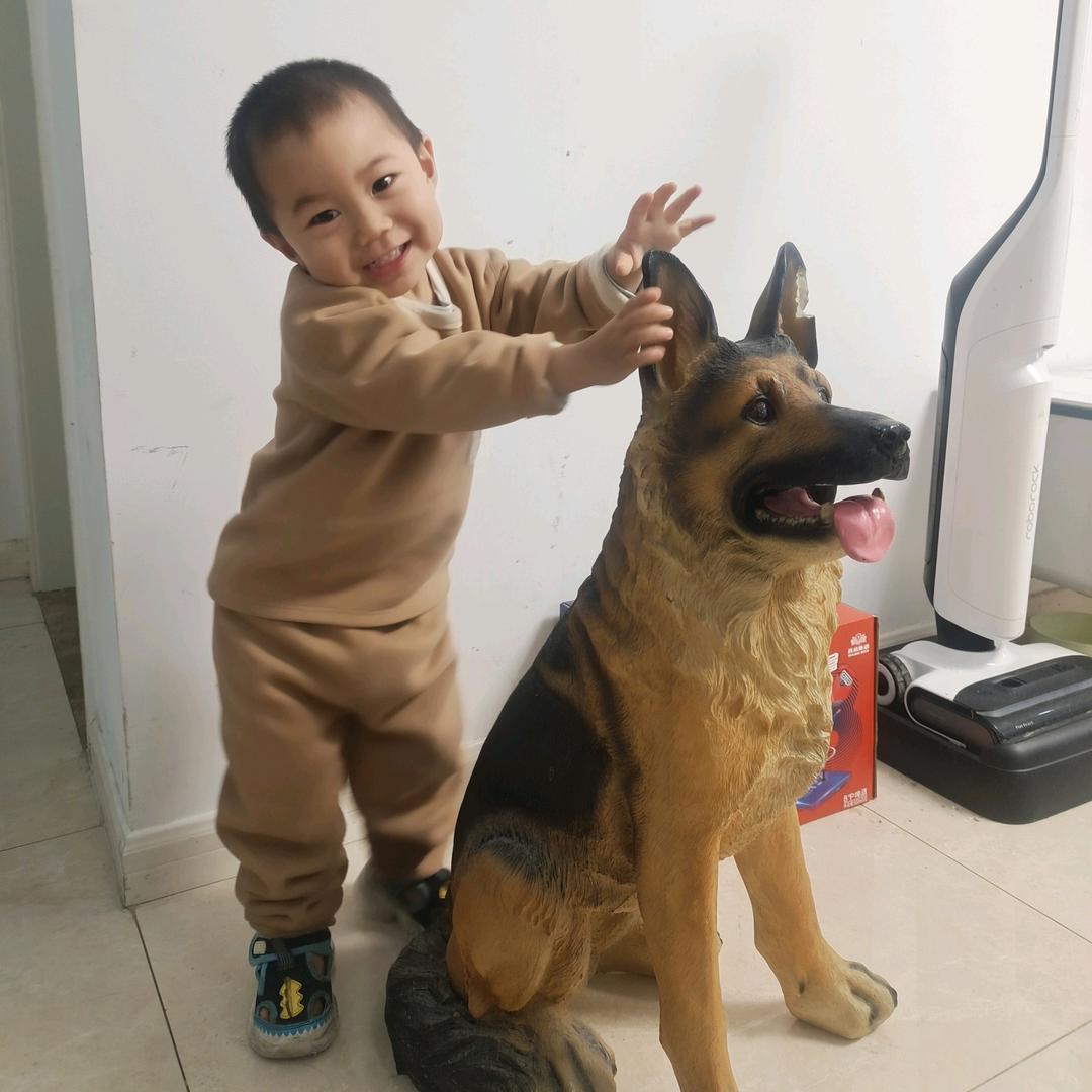 子屹犬业