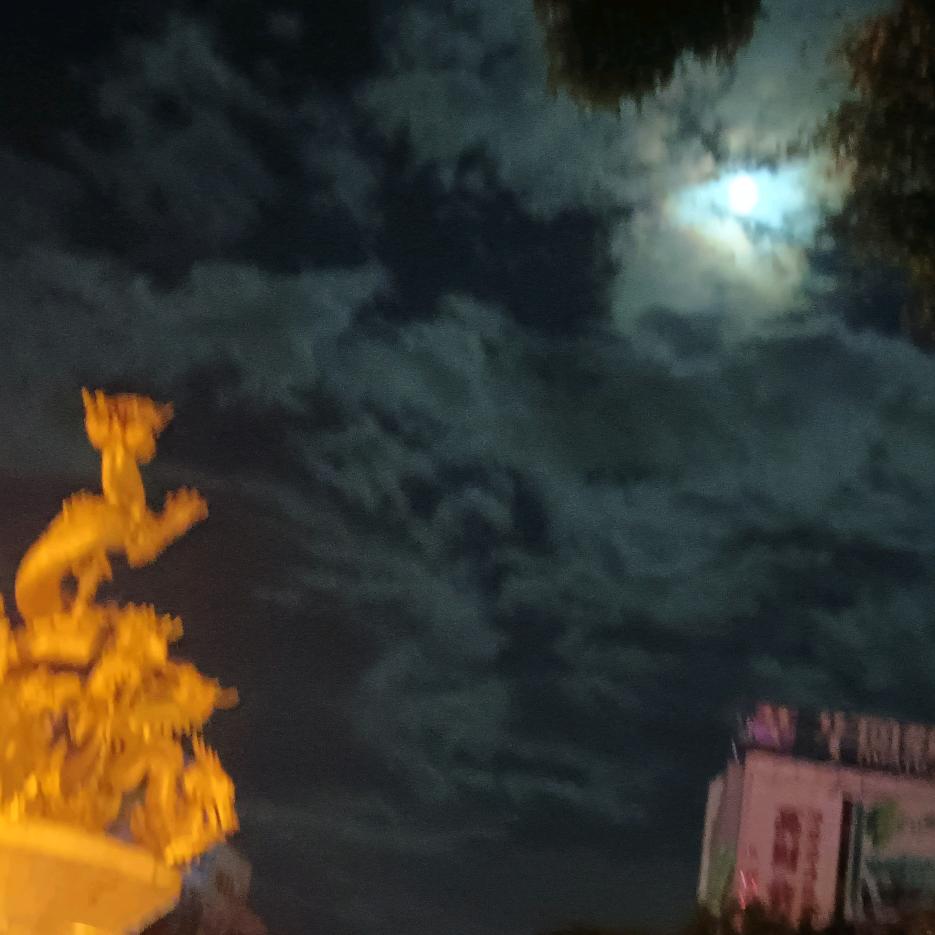 彬彬有礼