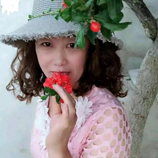 优雅蔷薇