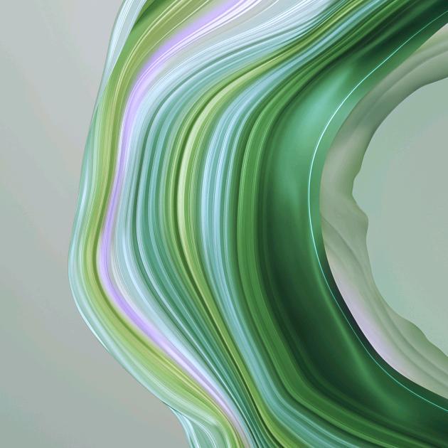 爱钓鱼的龟蜜