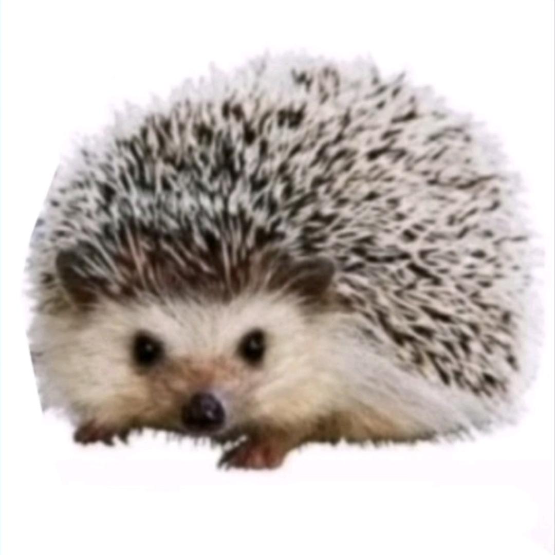 对不起