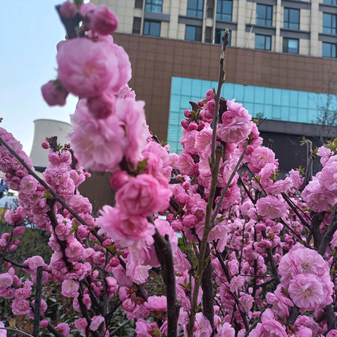 用户193128260099TNN