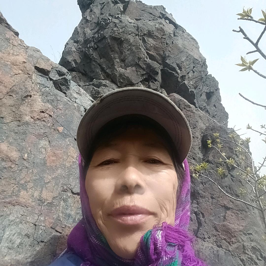 铁西大棚子驴肉