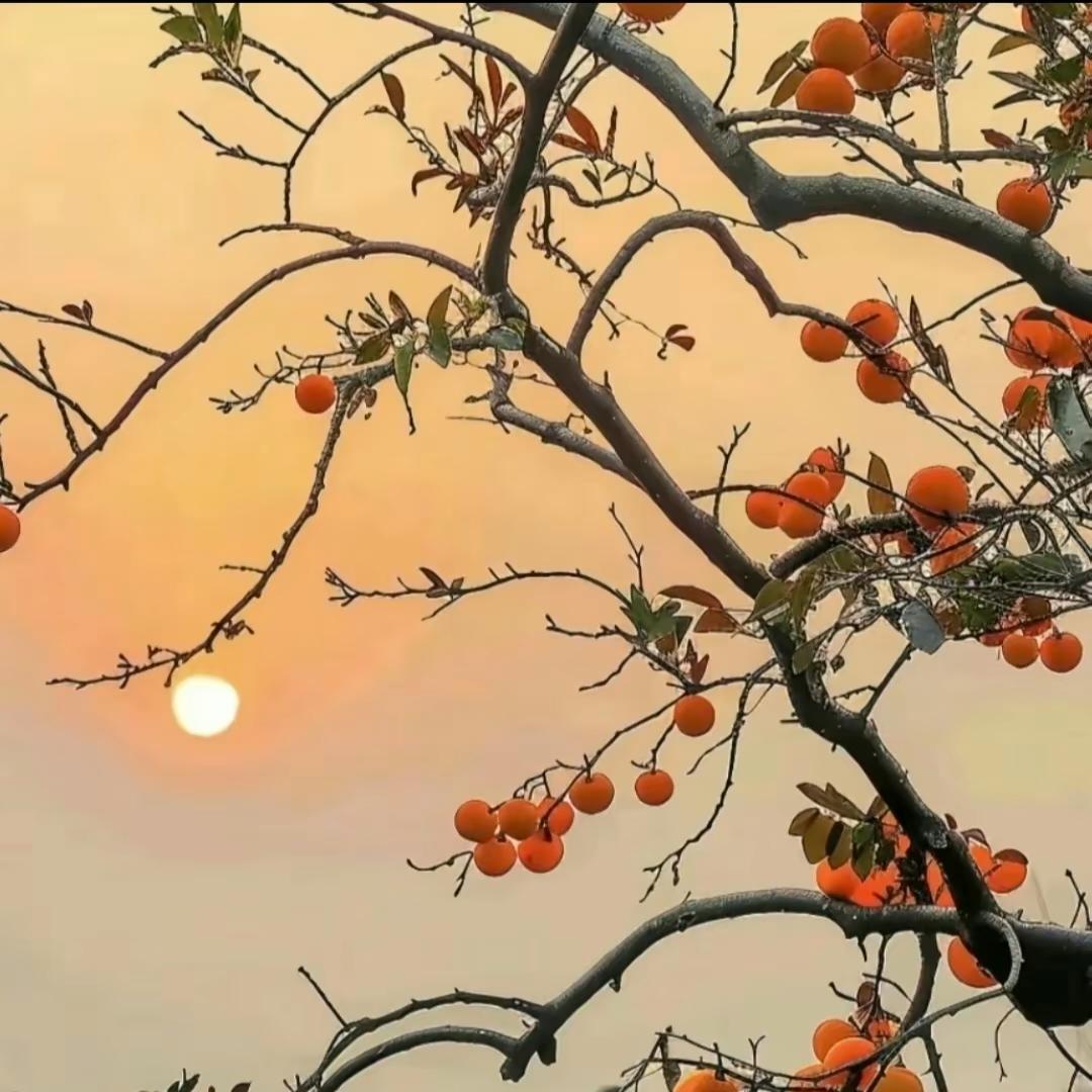嗨～杰克