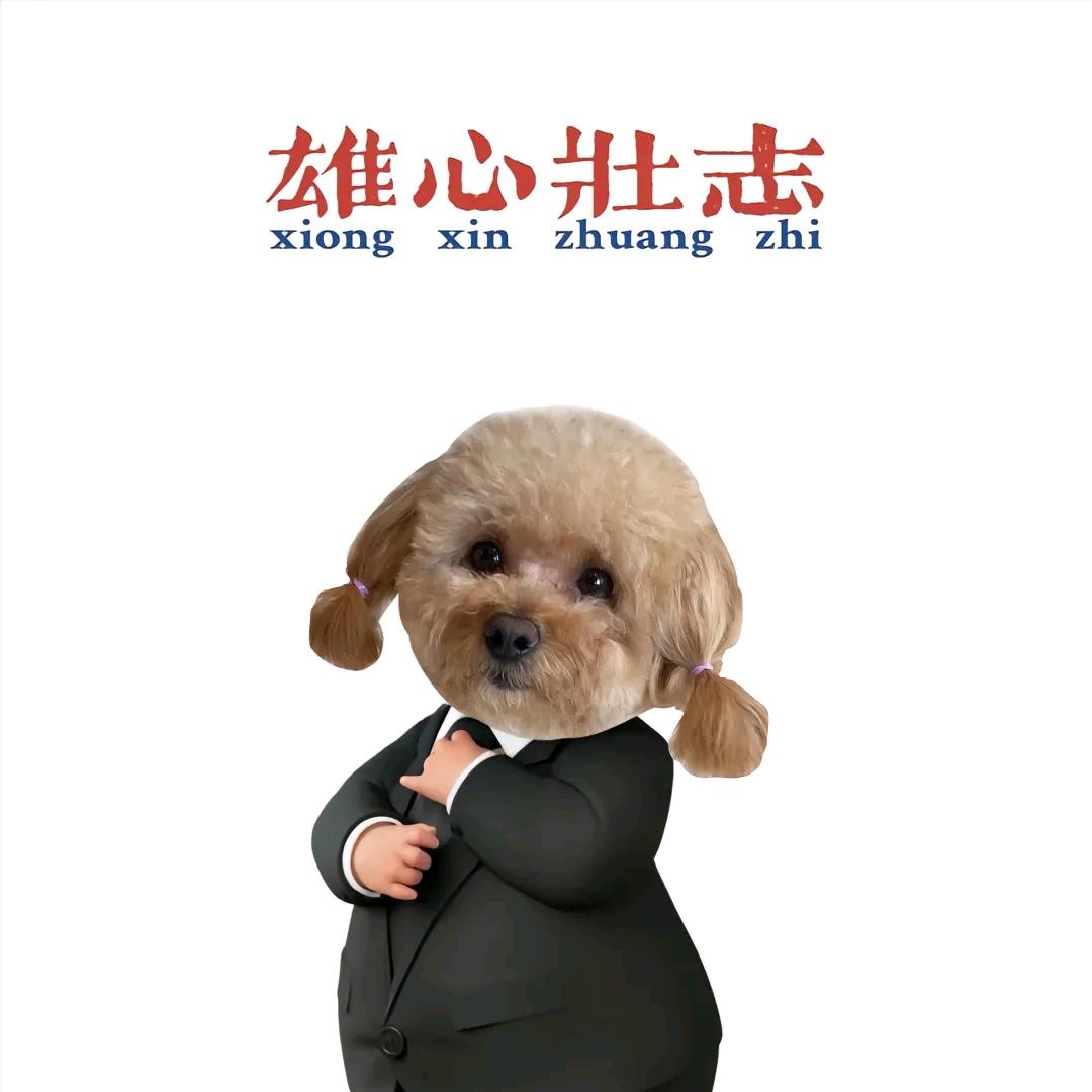 向钱看好物优选